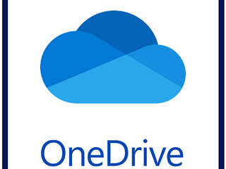 Logging on to the Office 365 portal